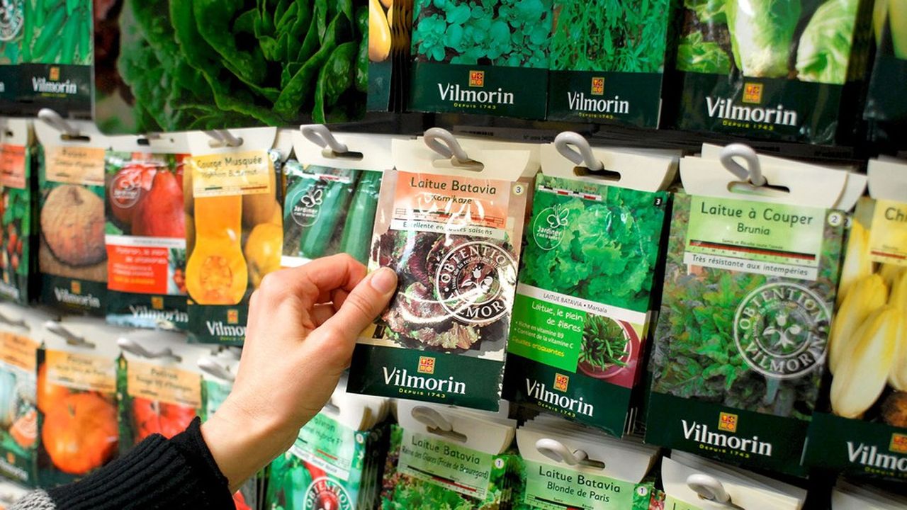 Les semences de jardin ne représentent que 3 % du chiffre d'affaires au troisième trimestre. Les grandes cultures 62 % et les potagères 35 %.