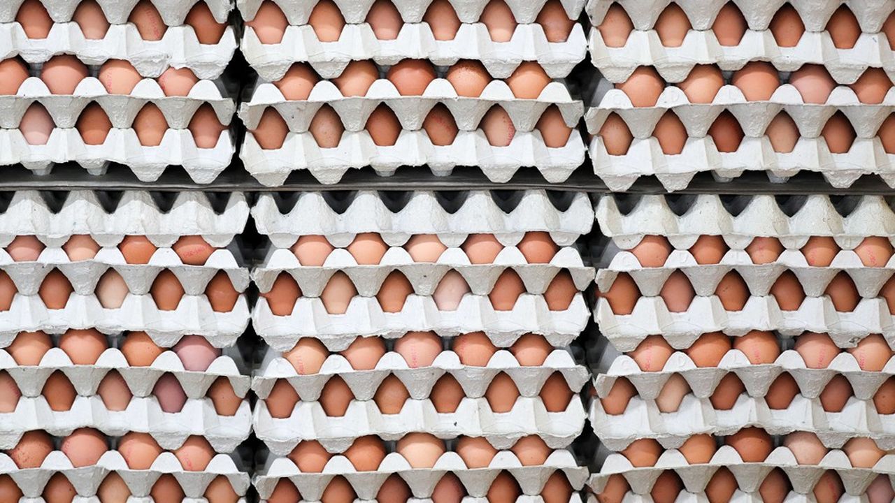 Ceny jaj poszły w górę i są importowane z Polski