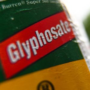 Deux pesticides à base de glyphosate ont été interdits à la vente par le tribunal de Montpellier.