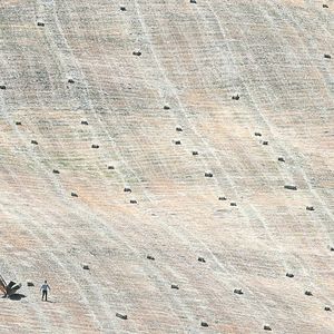 Des agriculteurs tentent de récolter du foin dans des champs desséchés près de Ronda, en Andalousie, le 11 mai dernier.