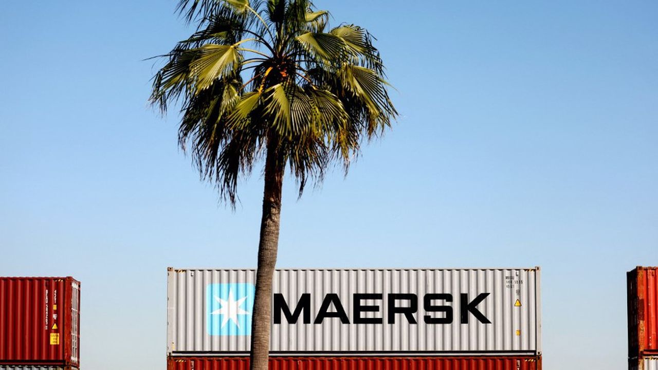 Le champion des dividendes du premier trimestre a été le groupe danois du transport maritime Moller Maersk.