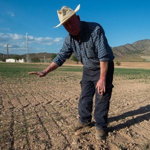 Un agriculteur se désole de l'aridité de sols à Murcia, en Espagne, en avril dernier.