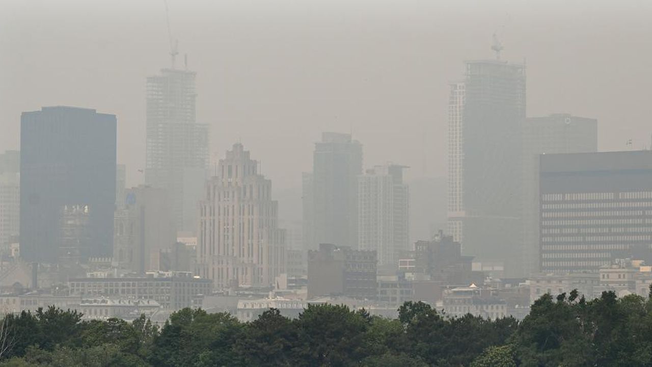 Forest fires in Canada: Montreal suffocates, the cloud of smoke moves towards France