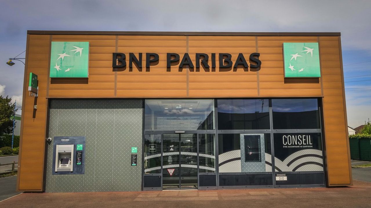 BNP Paribas sert la clientèle de particuliers et de professionnels au travers de ses agences, de sa banque en ligne Hello bank ou encore de sa néobanque Nickel.
