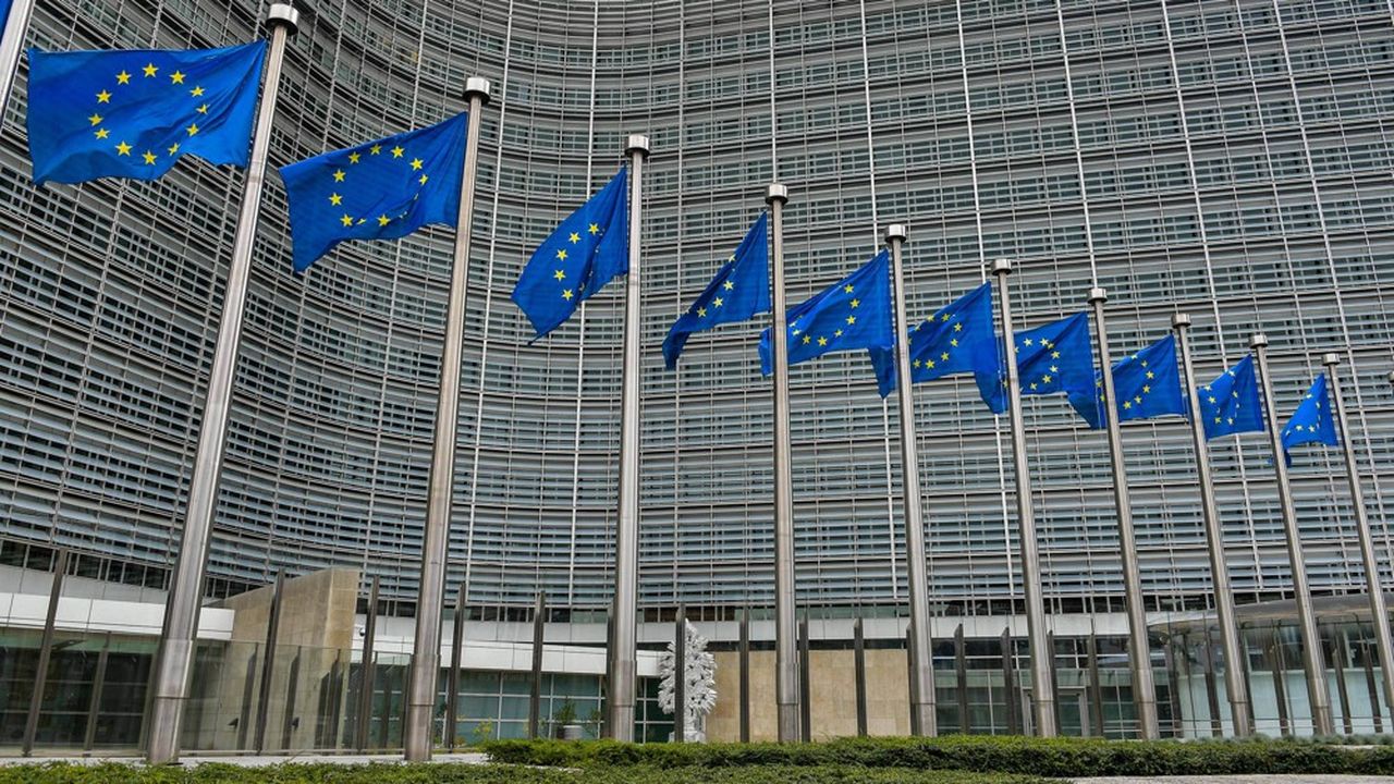 La Commission européenne examine dans le cadre de son plan de travail 2023 si des instruments de contrôle des investissements stratégiques à l'étranger sont nécessaires.