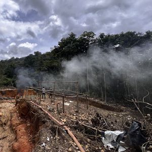 Aux affaires depuis le début de l'année, le président Lula a dévoilé en juin un plan d'action pour préserver la forêt amazonienne.