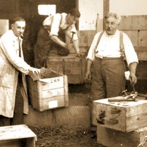 En 1900, l'usine de Feuquières-en-Vimeu, dans la Somme, des frères Decayeux est réputée pour ses serrures qui s'exportent déjà en Argentine et en Espagne.