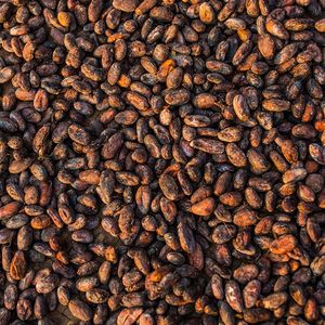 L'Organisation internationale du cacao anticipe un déficit de 140.000 tonnes sur le marché en 2022-2023.