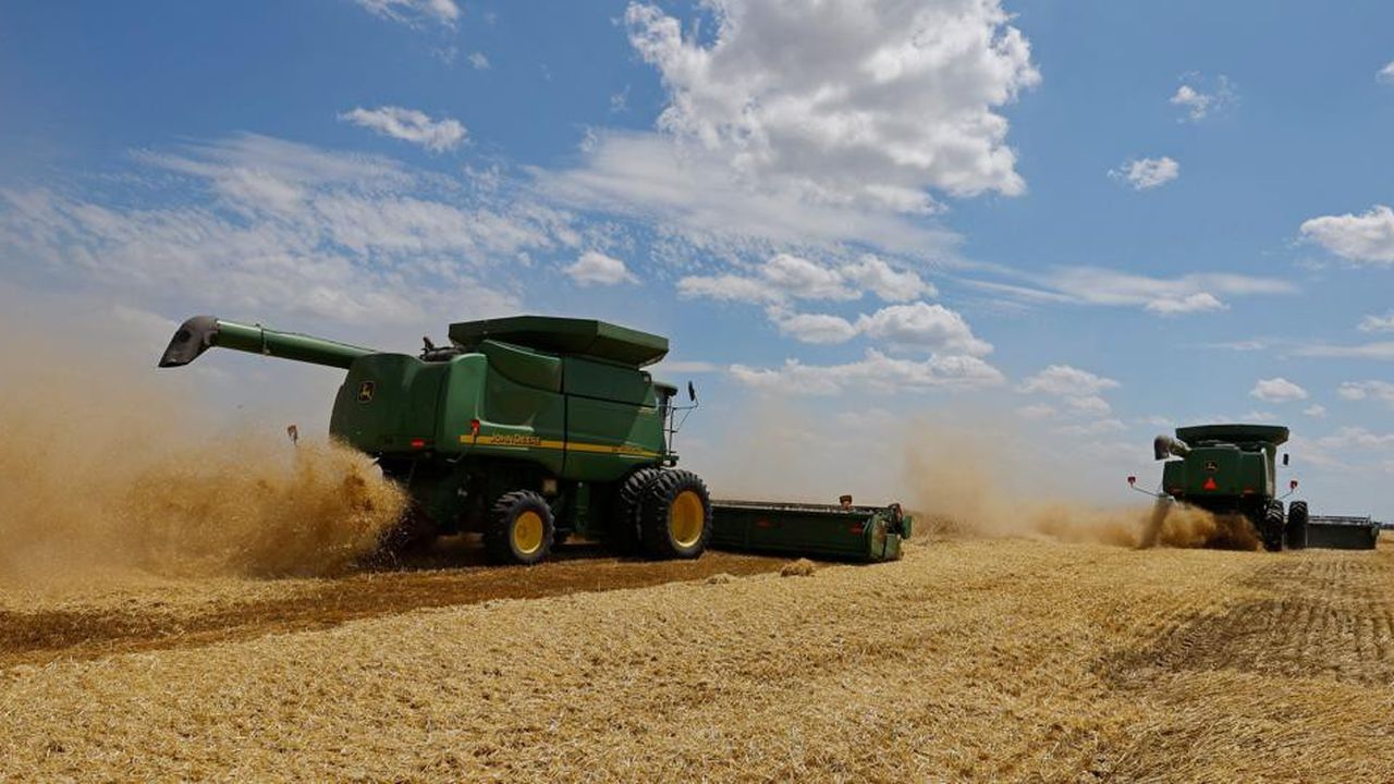 France Agrimer prévoit une chute de 35 % des exportations de blé tendre de l'Ukraine pour la campagne 2023-2024.