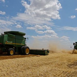 France Agrimer prévoit une chute de 35 % des exportations de blé tendre de l'Ukraine pour la campagne 2023-2024.