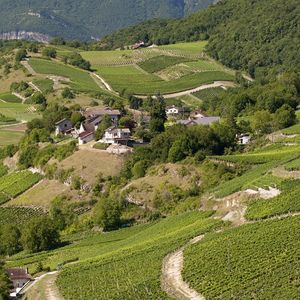 Le village de Jongieux, au coeur du vignoble savoyard.