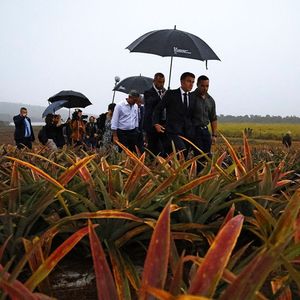 Emmanuel Macron entame une tournée inédite pour un président français dans des pays du Pacifique. Ici le président visite une ferme qui produit des ananas à Moindou en Nouvelle-Calédonie le 25 juillet.