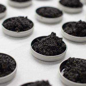 Des boîtes de caviar chez Caviar de Neuvic.