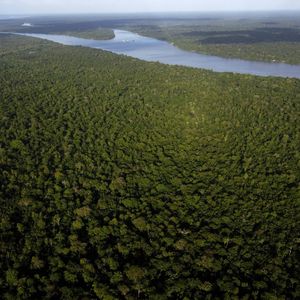 vue de la forêt amazonienne, près de Belém, dans le nord du Brésil.