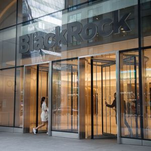 Le numéro 1 mondial de la gestion d'actifs BlackRock figure parmi les 45 fonds analysés, qui comptabilisent au total 72.000 milliards de dollars d'actifs sous gestion.