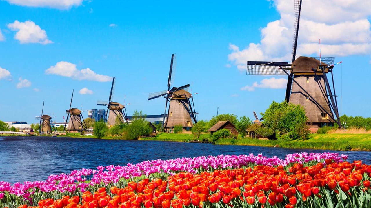 Les moulins à vent n'ont pas seulement façonné le territoire des Pays-Bas : ils ont aussi contribué à la puissance maritime et commerciale du pays.