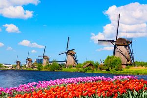 Les moulins à vent n'ont pas seulement façonné le territoire des Pays-Bas : ils ont aussi contribué à la puissance maritime et commerciale du pays.
