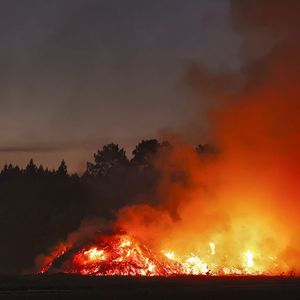 Les incendies de 2022 ont détruit près de 60.000 hectares de forêt (contre 9.000 hectares par an en moyenne entre 2006 et 2021).