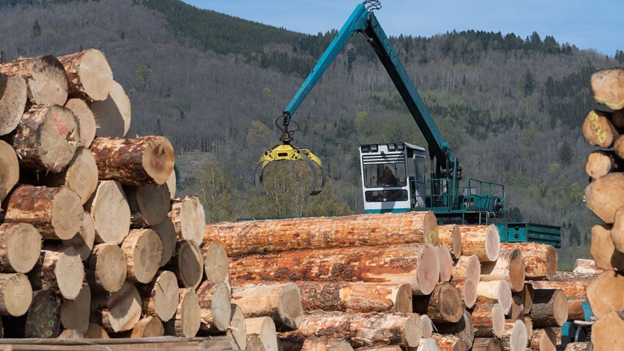 La filière bois tricolore fait vivre 60.000 entreprises, qui emploient près de 400.000 salariés.