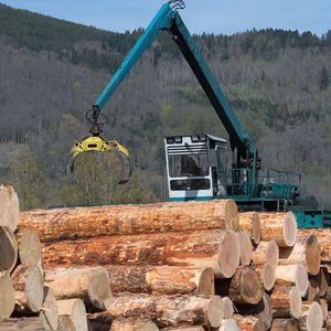 La filière bois tricolore fait vivre 60.000 entreprises, qui emploient près de 400.000 salariés.