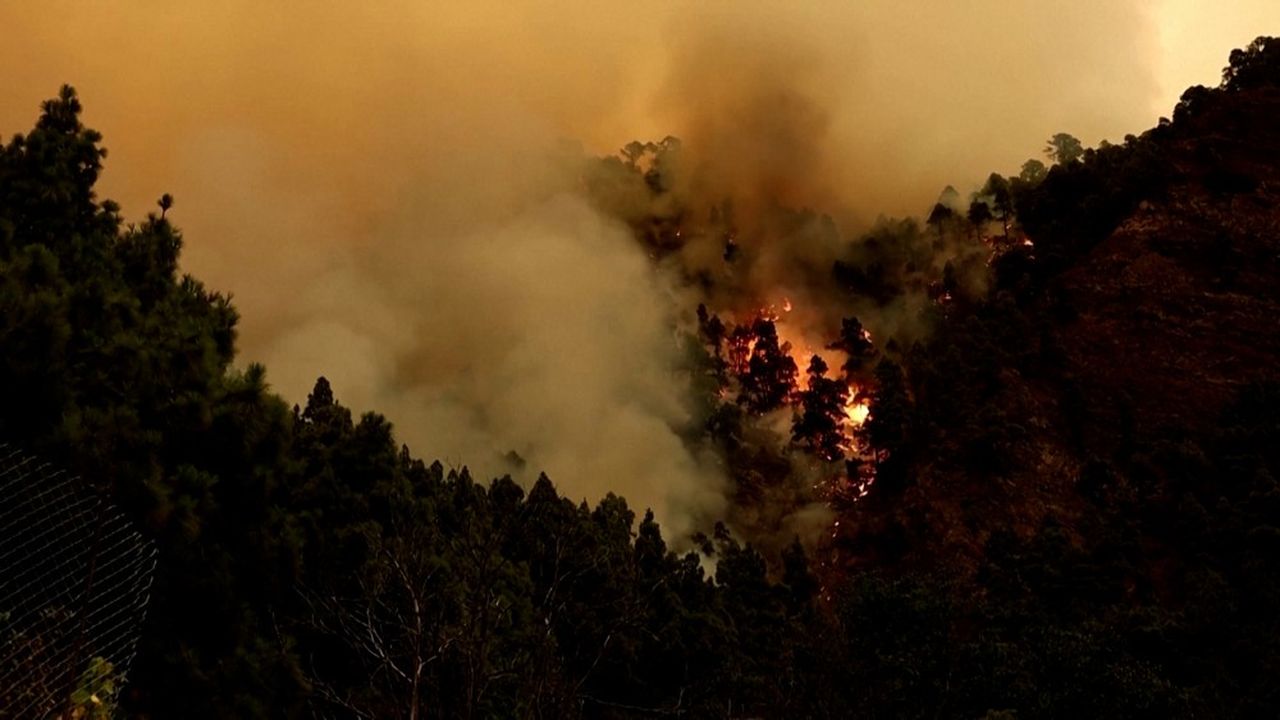 VÍDEO – Incendios ‘fuera de control’ en la isla española de Tenerife