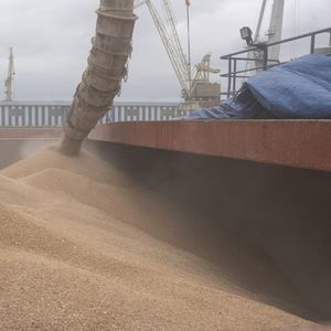 Chargement de céréales sur une barge dans le port de Galati, deuxième port de Roumanie, devenu crucial pour l'acheminement de céréales ukrainiennes. Sur le territoire roumain, le terminal est protégé des frappes russes par le parapluie de l'Otan.