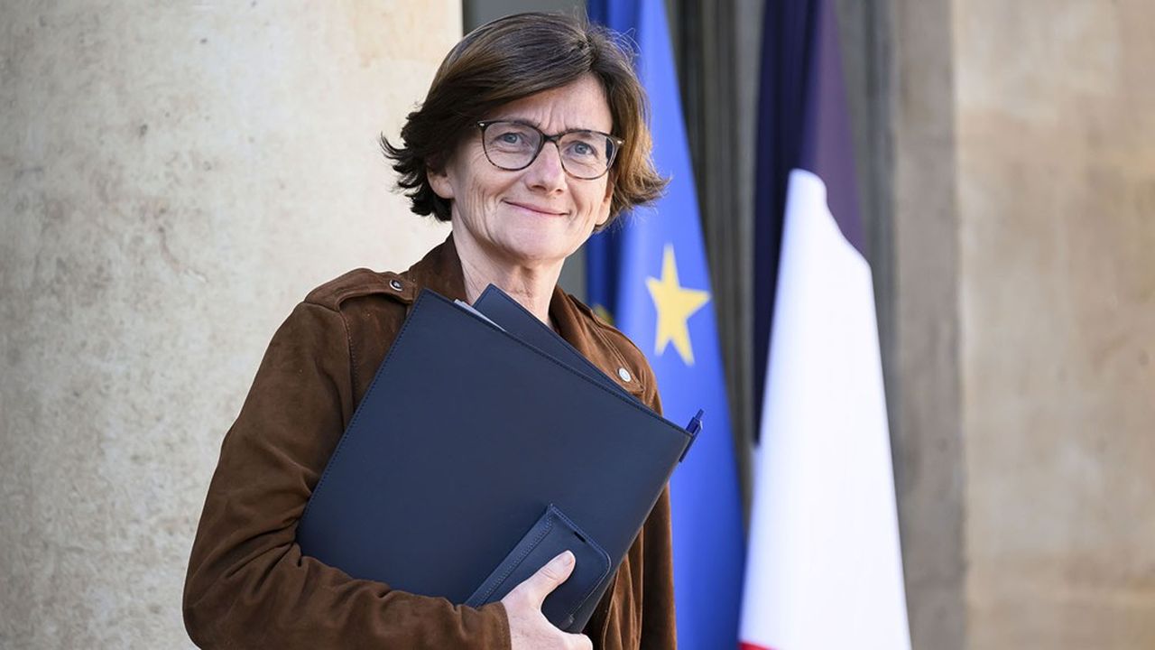 Agnès Firmin-Le Bodo, ministre déléguée chargée des Professions de santé, a détaillé, ce jeudi, ses mesures pour améliorer l'accès aux soins.