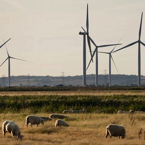 Depuis 2016, très peu de nouvelles éoliennes ont été approuvées.