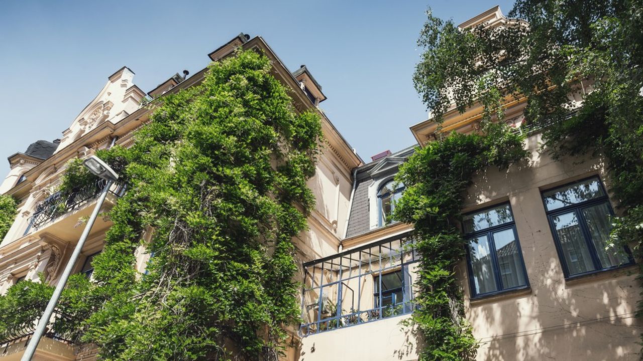 Métropole de Lyon. Ils révolutionnent le bac à fleurs de balcon