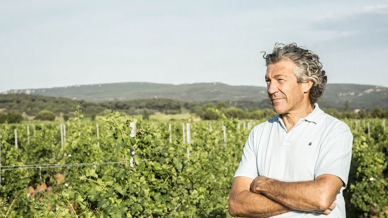 La vigne, terrain de reconversion pour anciens rugbymen | Les Echos