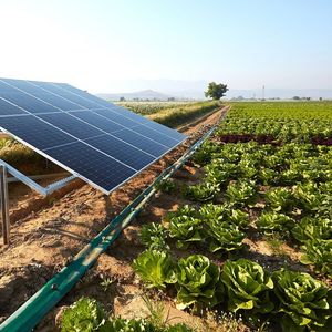 « La production d'électricité aide les agriculteurs à devenir plus résilients tout en développant des pratiques agricoles plus respectueuses de l'environnement. »