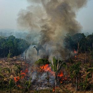 Le Brésil a engagé une lutte contre la déforestation.
