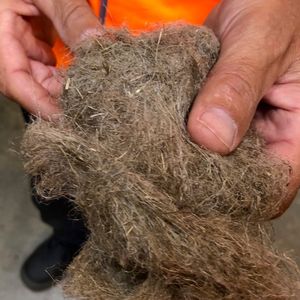 La fibre issue du défibrage de la paille de chanvre rentre dans la composition de l'isolant fabriqué par la Cavac mélangée à de la fibre de lin et de la fibre polyester.