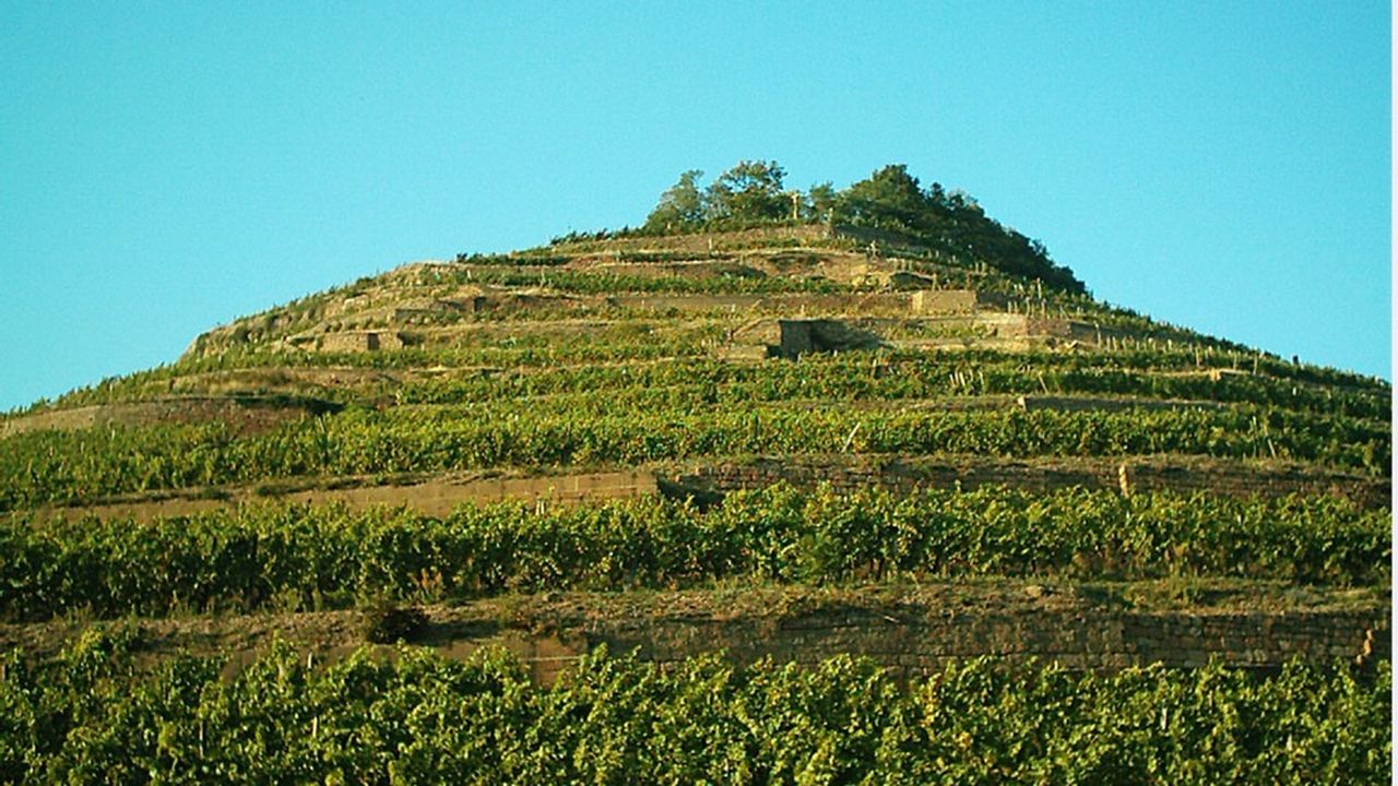 The Volcanic Wines of Schlumberger Family Estate: A History Embedded in Haut-Rhin