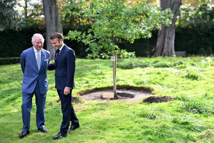 Selon la tradition, le roi Charles III a planté un arbre dans le jardin de l'ambassade britannique.