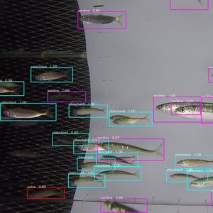Le projet Game of Trawls vise à doter le filet de capteurs et de caméras capables d'identifier, sous l'eau, la nature des espèces.