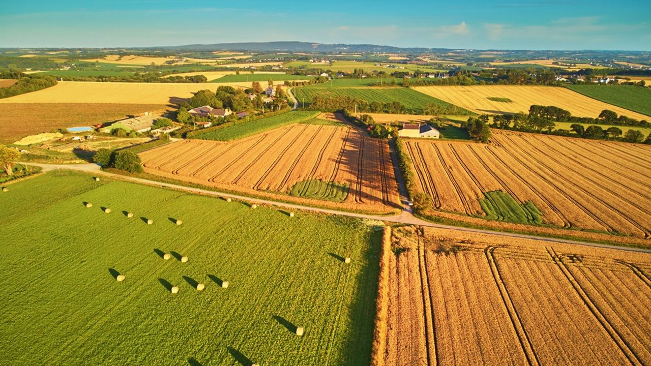 « L‘agriculture française représente 18 % de la production européenne, devant l'Allemagne, l'Italie et l'Espagne. »
