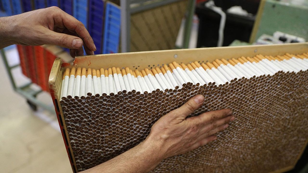 600 millions de cigarettes sortaient chaque année de l'usine Macotab de Haute-Corse.