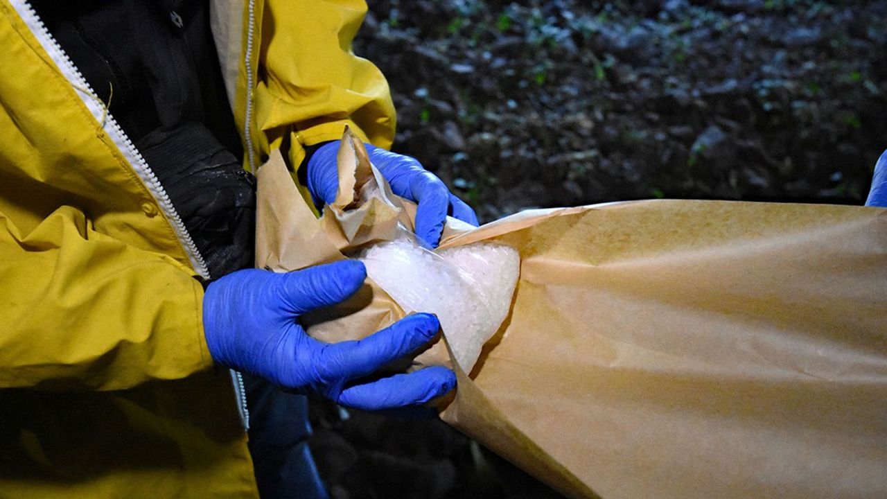 Comment Le Narcotrafic Est Devenu Le Cinquième Employeur Du Mexique ...