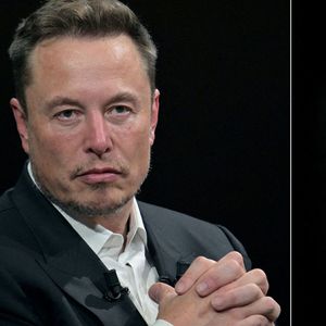 Elon Musk est pointé du doigt sur la montée de la désinformation sur Twitter.