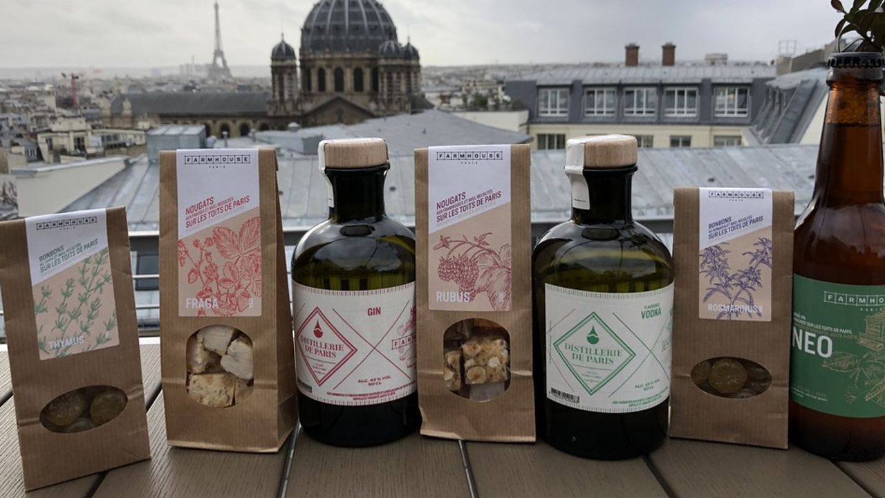 La start-up « Sous les fraises » lance ses premiers produits récoltés sur les toits de Paris.