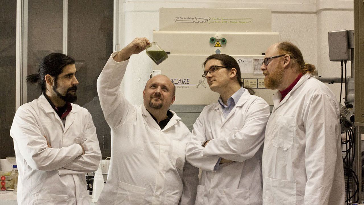 Daniel Budinov (ingénieur), Stephan Matthiesen (physicien), Mate Ravasz (biologiste moléculaire et CEO), Jiri Jirout (microbiologiste), membres de l'équipe Algacraft.