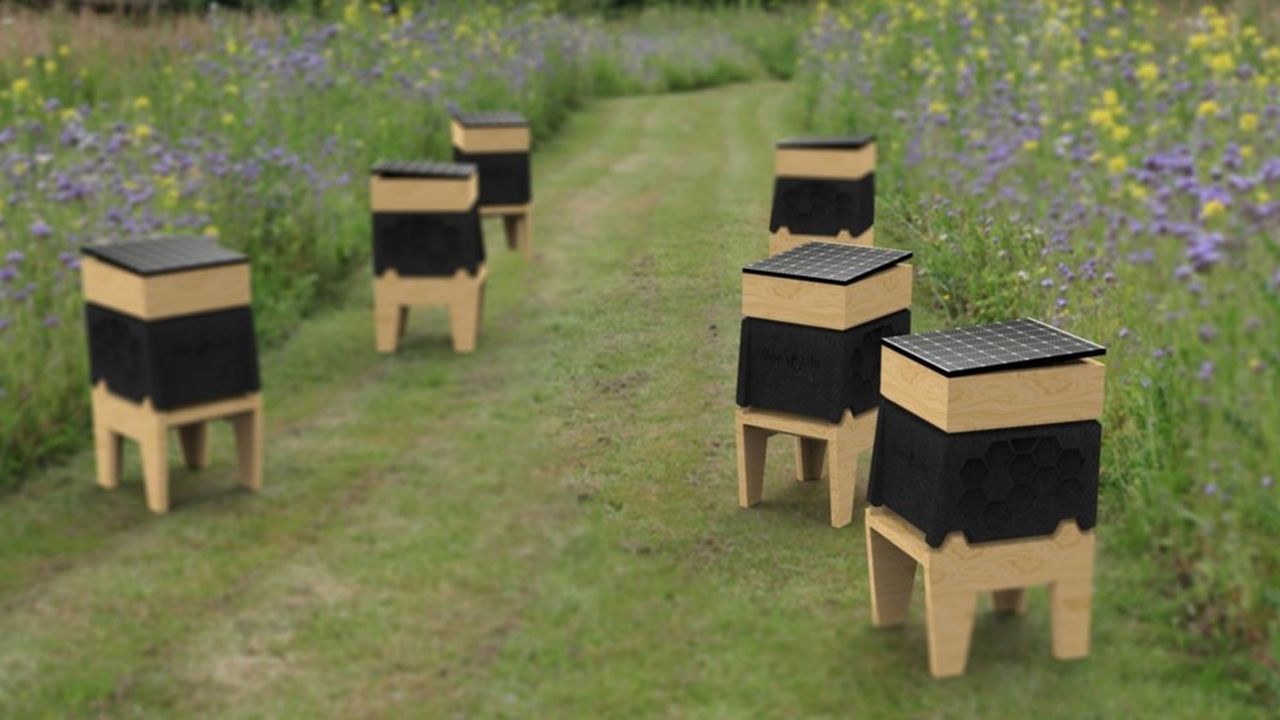 La ruche connectée de Beelife peut être monitorée à distance et est conçue pour lutter sans produit chimique contre le Varroa, un acarien considéré comme l'une des principales causes de mortalité des abeilles.