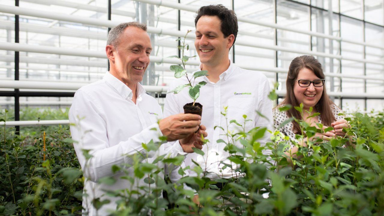 Alexandre Olivaud (à gauche) et Emmanuel Pajot (à droite) ont cofondé la biotech Green Impulse pour réduire l'usage des pesticides.