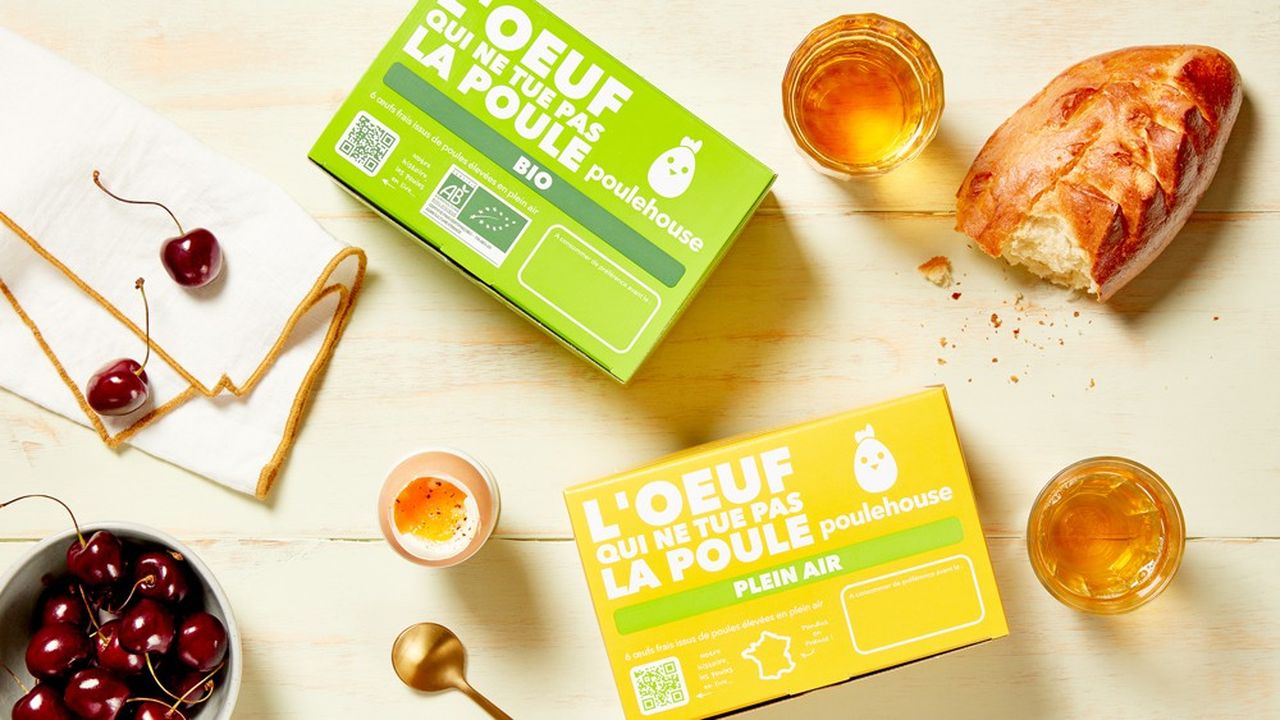 En plus de sa gamme d'oeufs bios, Poulehouse va lancer une version plein air, avec un prix ramené à 3,99 euros la boîte de six.