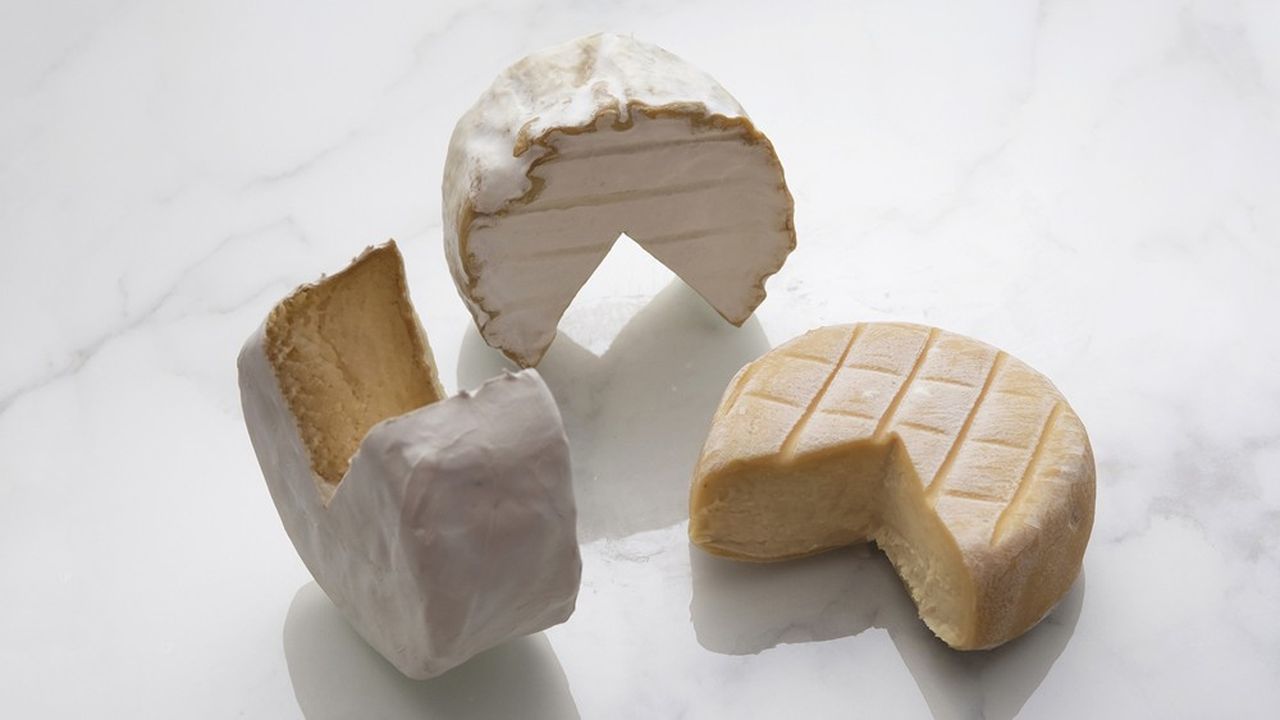 Les Nouveaux Affineurs produisent des alternatives au fromage à partir de noix de cajou et de soja.