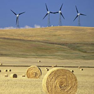 Les énergies renouvelables, un grand chantier pour l'économie verte.