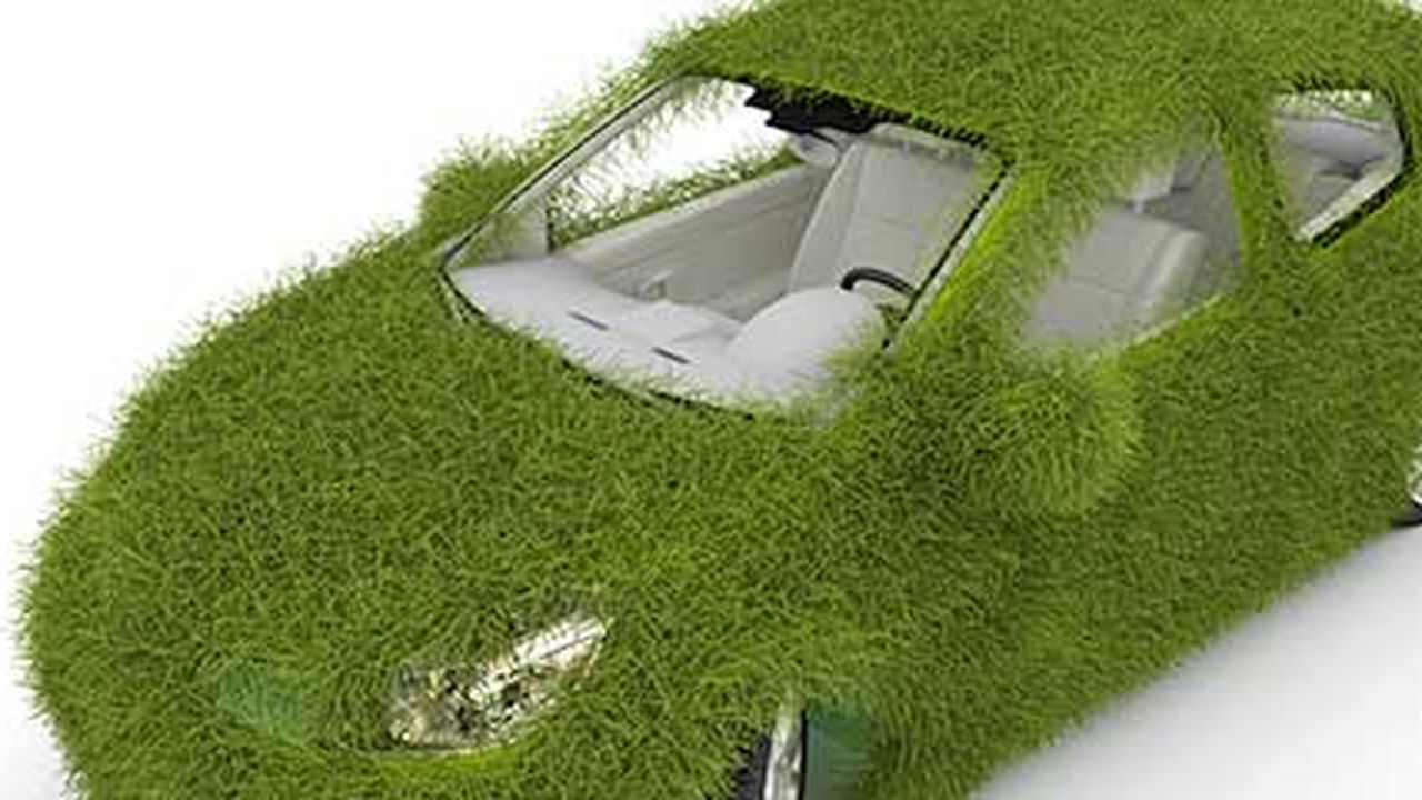 Voiture couverte d'herbe