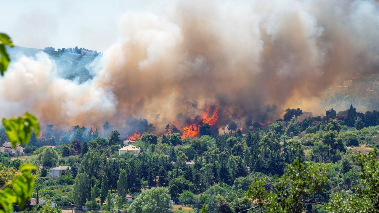 L’Urssaf au chevet des entreprises touchées par les feux de forêts