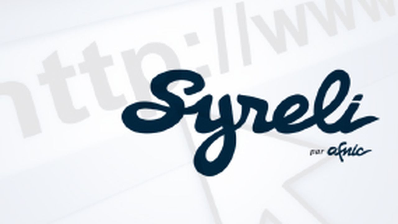 Litiges sur les noms de domaine : le point sur la procédure Syreli
